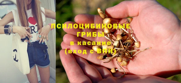 спайс Балабаново